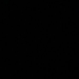 Meet your Posher, Abigail